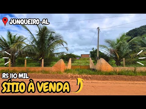 Sítio à Venda perto de Arapiraca e Junqueiro Alagoas $110mil
