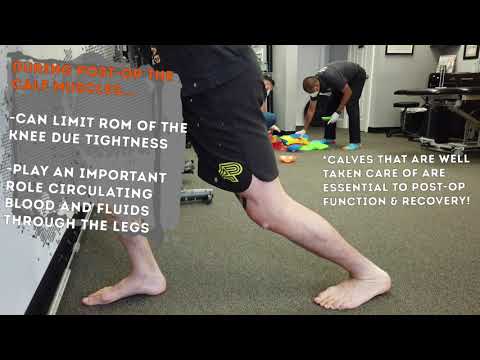 Meniscectomy Rehab