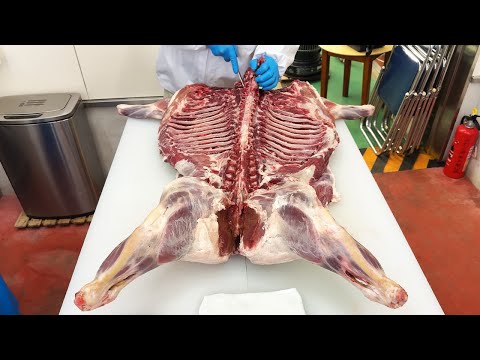 Wild Boar Hunting, Butchering, and Cooking From Hunt to Delicious Meal