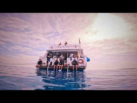 tour video on youtube