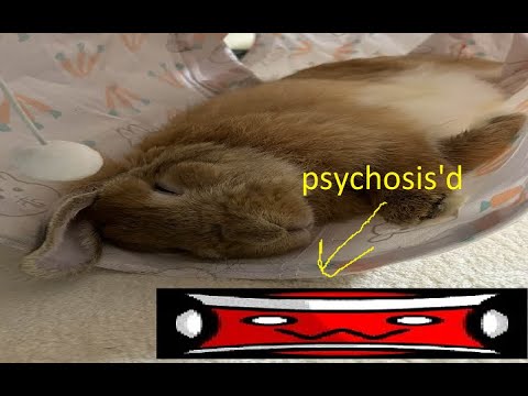 Psychosis 100% (hard demon)