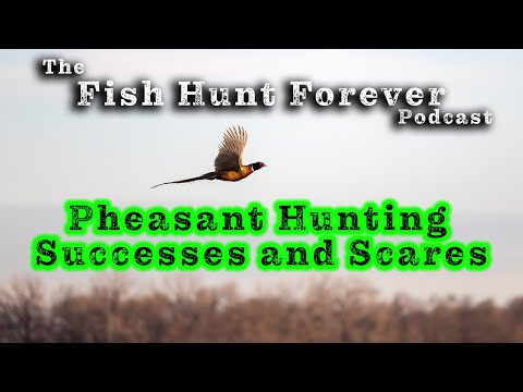 Pheasant Hunting Successes & Scares | The FHF Podcast - Week 684