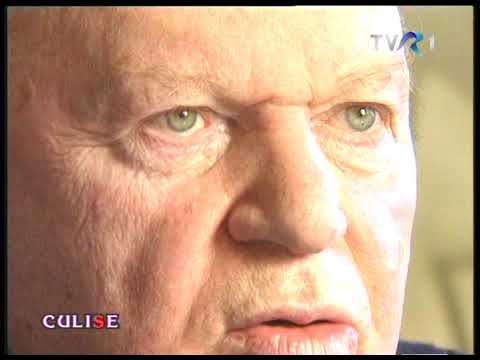 Culise: Interviu cu Silviu Brucan (@TVR1)
