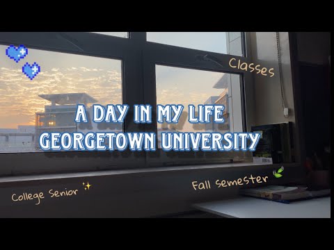 A Day in My Life in Qatar: Georgetown Student Experience Unveiled!