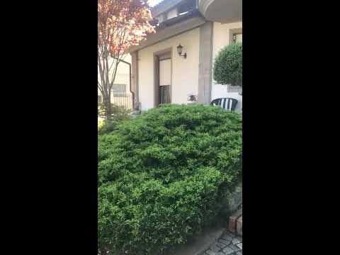 VILLA SINGOLA VIA COAZZE, GIAVENO