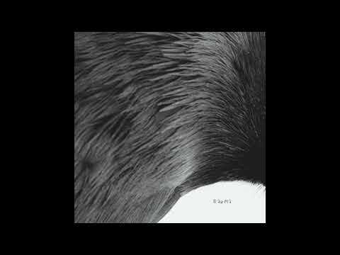 AVCI & Burakcan Yilmaz - Unusual Rite (Original Mix) [trau-ma]