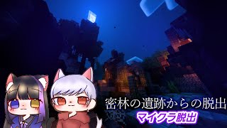 【マイクラ】密林の遺跡からの脱出