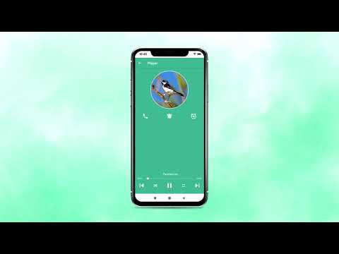 Sounds of the bird Golinha Video