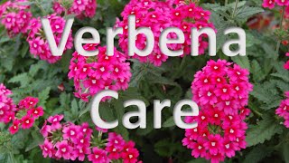 Verbena Care