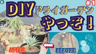 【DIYドライガーデン】置き場がないなら、庭を作ればいい。｜初心者の挑戦