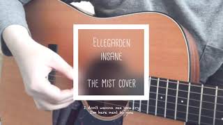 Ellegarden - Insane (字幕・Lyrics) Acoustic cover