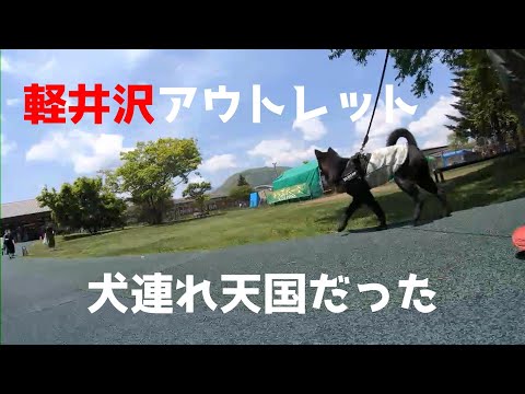 YouTube動画を再生