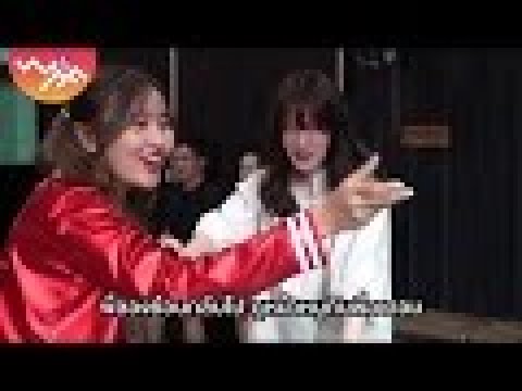 What The Fact x CM Cafe EP.5 | เมื่อเฟย์ & อะตอมHoney Toast แต่งเป็นฮาร์ลีย์ ควินน์บุกคาเฟ่หมายักษ์!