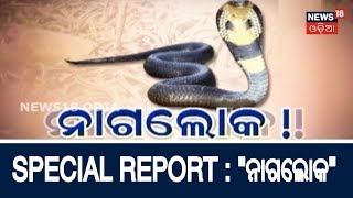SPECIAL REPORT | NAGALOKA | NEWS18 ODIA