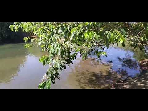 Belezas Naturais de Porto Alegre do Tocantins – Um Passeio Inesquecível