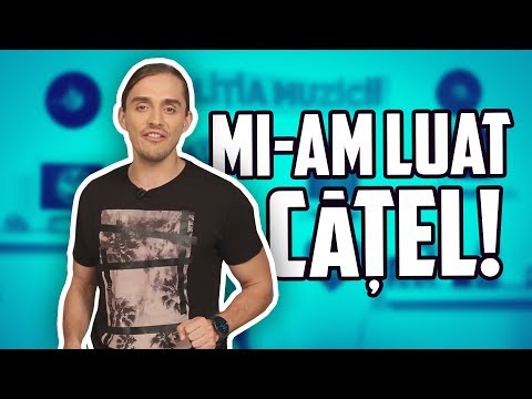 Politia Muzicii: CABRON & ANDRA - Doamna si Vagabondul, INNA - Te Vas