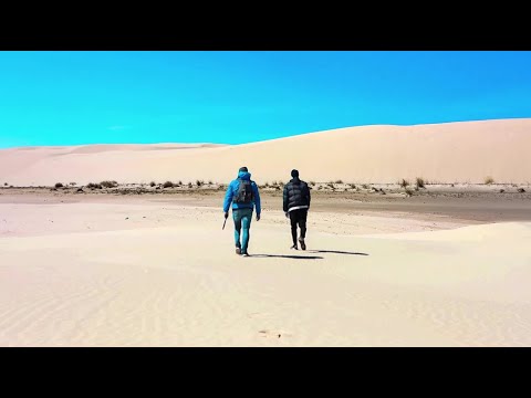 Polnische Sahara – Die größte Wanderdüne in Europa 🌵 Slowinzischer Nationalpark