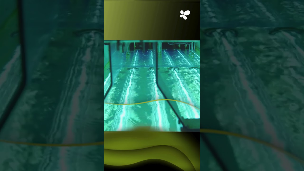 Calvià setzt sich stärker für die Kreislaufnutzung von Wasser ein