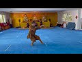 Shaolin Kung Fu - Wu Xing Quan