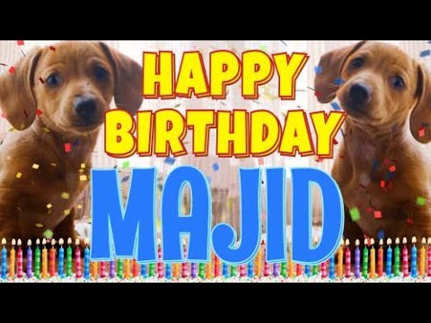 Happy Birthday Majid! ( Funny Talking Dogs ) What Is Free On My Birthday