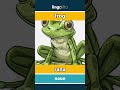 frog - rana video thumbnail