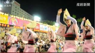 阿波曼蛇２
