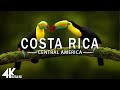 FLYING OVER COSTA RICA (4K UHD) - RELAXING MU ..