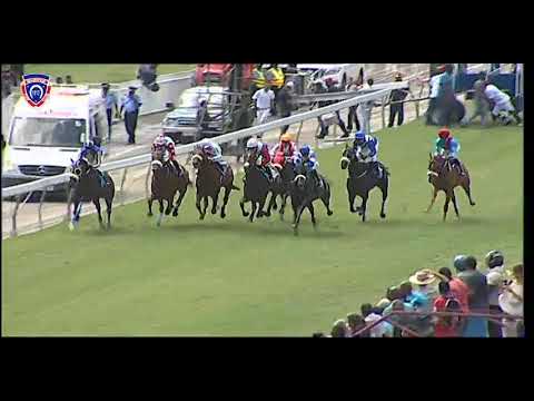 RM37 R3 | Carlton Heights | J.Powell