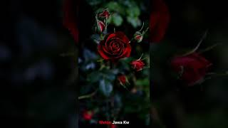 Download lagu NASIHAT JAWA : GIRI LUSI JANMA TAN KENO INGINO #wetonjawa #nasihatjawa mp3 Download lagu NASIHAT JAWA : GIRI LUSI JANMA TAN KENO INGINO #wetonjawa #nasihatjawa mp3