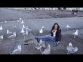 Feeding Seagulls MP4