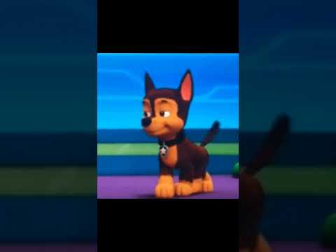 chase x Skye #pawpatrol #chasexskye #edit #skye #chase #music #shorts #skase