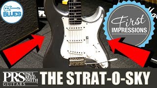 Video thumbnail for PRS Silver Sky Electric Guitar First Impressions with Dr. Ric by intheblues