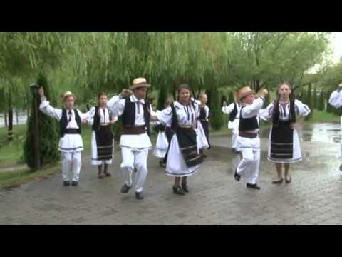 Ansamblul BUJORII ZAULUI - Suită