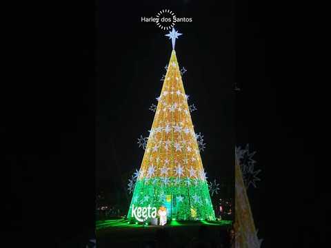 Natal Iluminado São Paulo SP Parque do Ibira