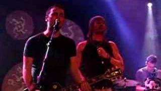 macaco i gossos a la sala bikini