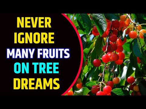Seeing Many Fruits on Tree in Dream Meaning | Many Fruits on Tree Dream Interpretation