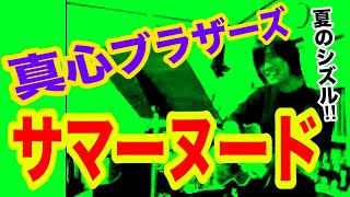 サマーヌード（真心ブラザーズの曲）夏のシズル【ギター弾き語り・寸評つき】