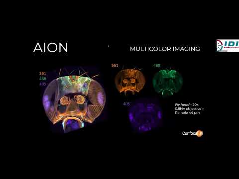 Microscopie Confocale | Webinaire découverte du module AION