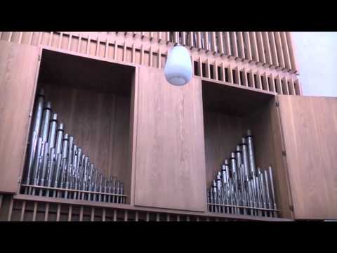 33. So. i. Jahreskreis - Dank - 14.11.2010 GL 555/1-3