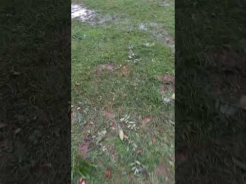 el tornado en puerto bermejo Chaco