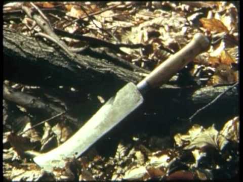 Der letzte seines Standes - Schmied Pfitzenmeier