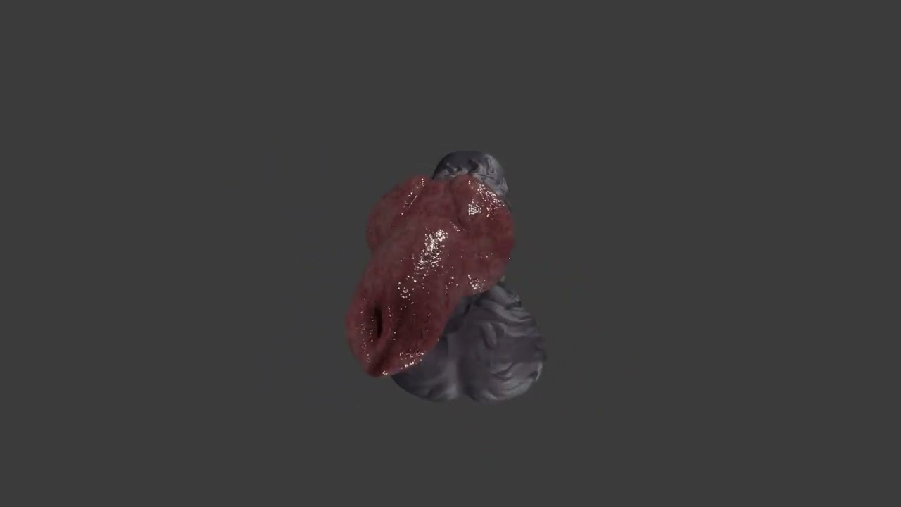Fantasy Boxxx Werewolf Penis Sextoy 3D Model