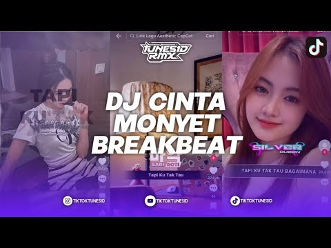 DJ CINTA MONYET "TAPI KU TAK TAU BAGAIMANA TUK MEMULAI" BREAKBEAT SOUND KING PLAT DA REMIX BY HBZM