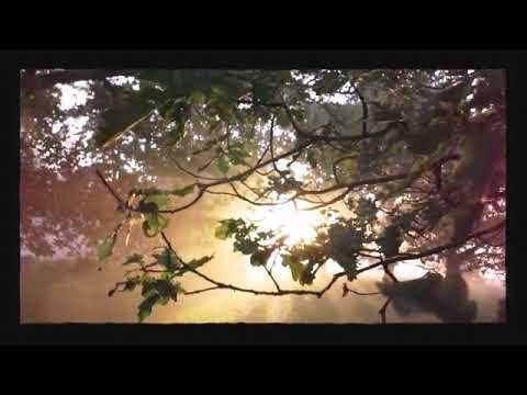 Tudo Por Ele (Tema JA 2020)