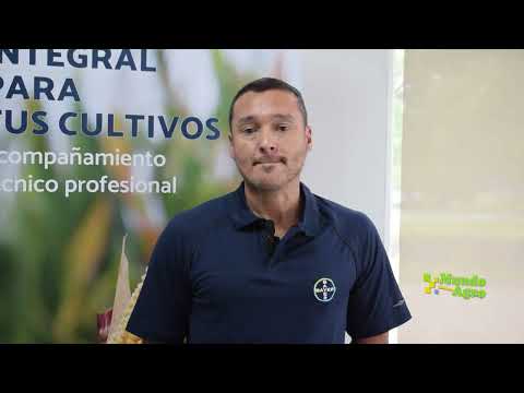 🔺🐛🌽Jornada Mirú Agropecuaria de Manejo y Monitoreo de Dalbulus Maidis en el Norte Cordobés