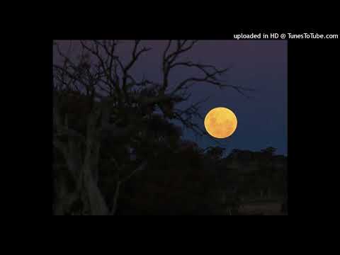 "sleepy hollow" nedarb nagrom x lil peep type beat