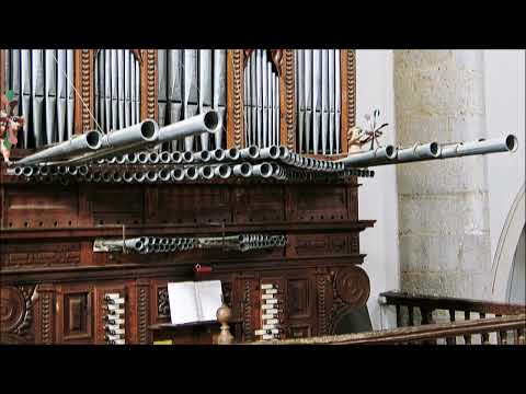 Anonymous - Pavana del Re (XVI sec.)