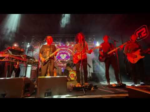 Steve Hillage and Gong - Hurdy Gurdy Man