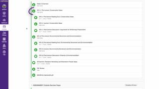 UW Canvas course template