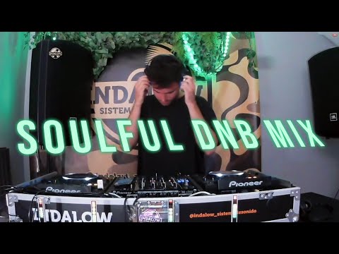 Soulful Drum & Bass Mix - Halogenix / Alix Perez / EN:VY / Visages / & More...